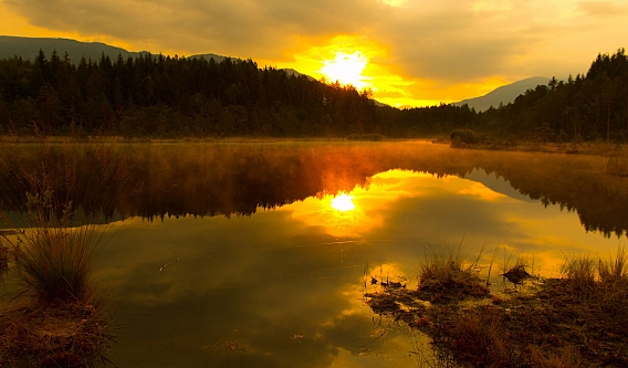 Face to face with nature...