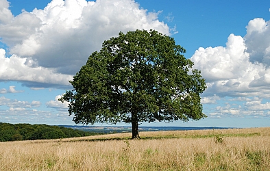 Face to face with nature...